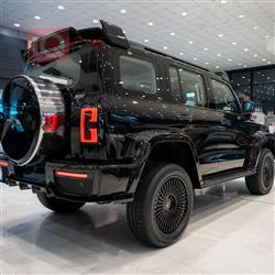 تانک GWM 300